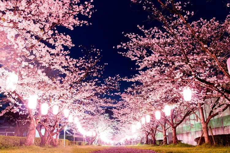 Nitta Jinja 4