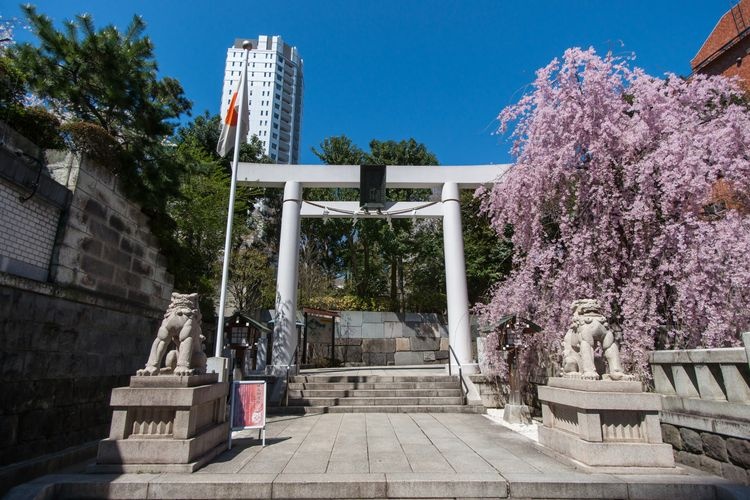 Santuario Nogi Jinja 2