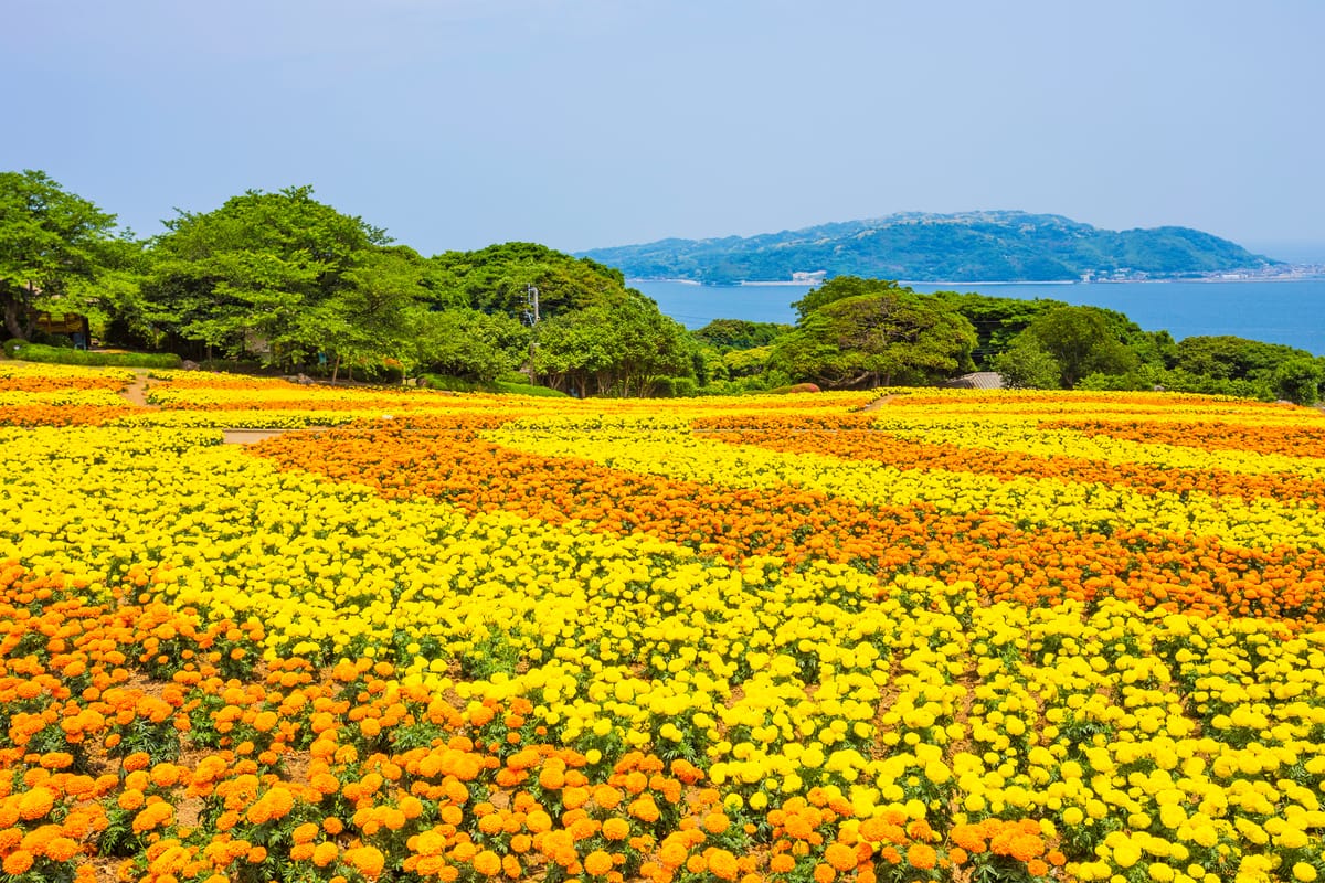 Nokonoshima