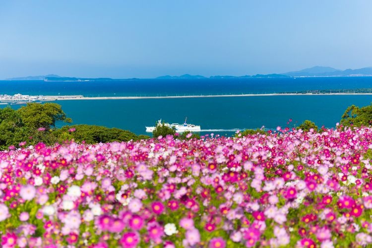 能古岛 (Nokonoshima)