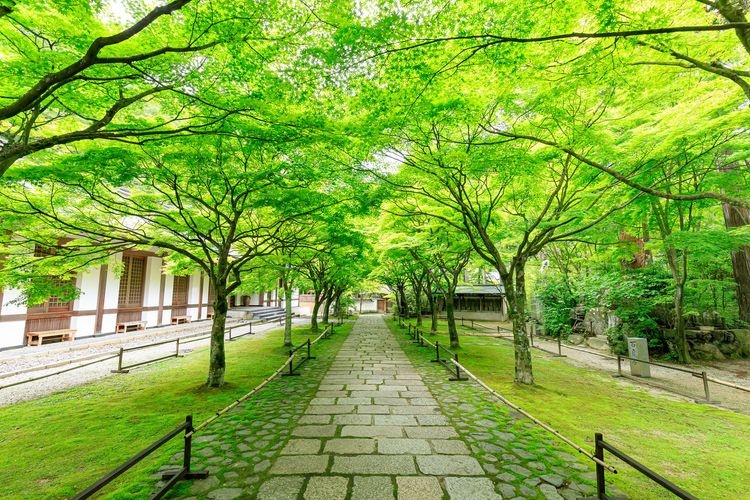Nomiyama Kannon-ji Temple