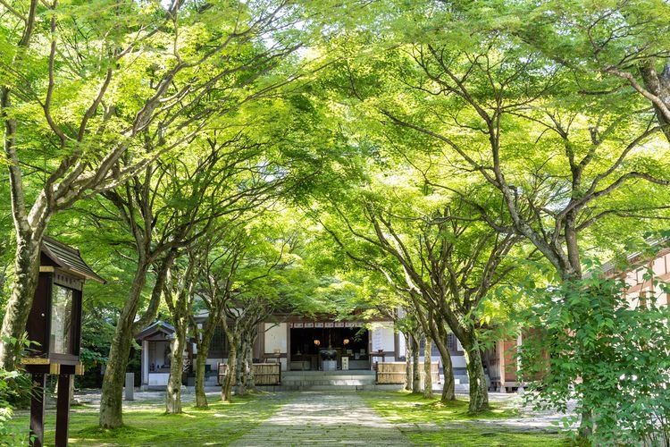 Nomiyama Kannon-ji Temple 2