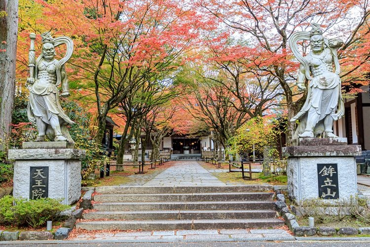 Nomiyama Kannon-ji Temple 3