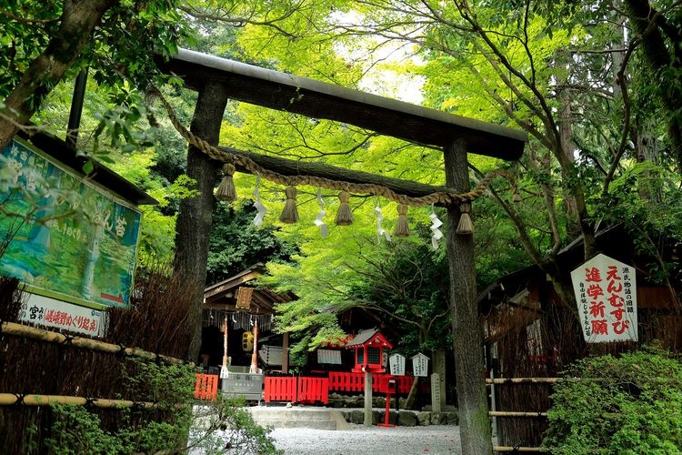 노미야 신사(野宮神社)