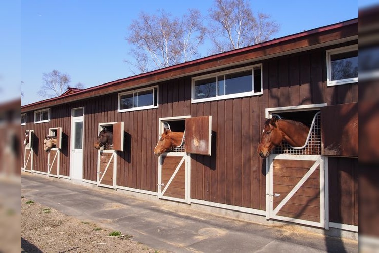 Northern Horse Park 3