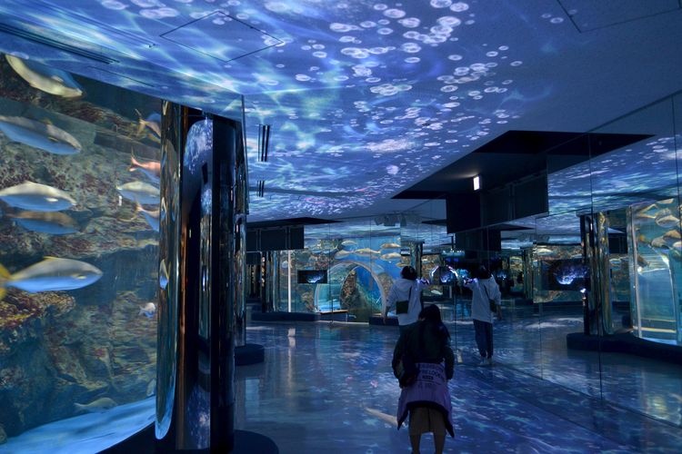 Notojima Aquarium
