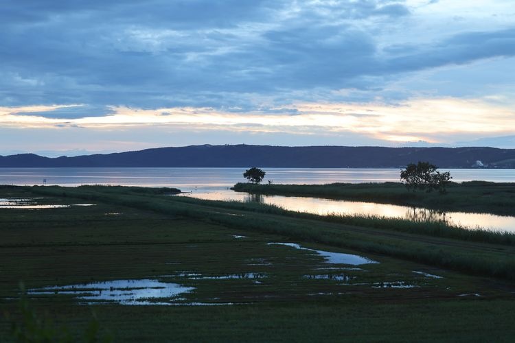 พื้นที่ทุ่งดอกไม้สีแดงนโทริโกะ (Lake Notori Sango Grass) 2