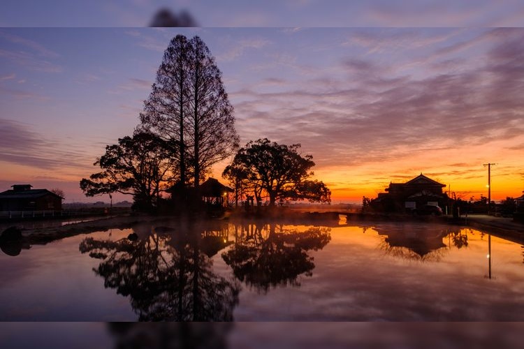 缝之池 (Nuinoike)
