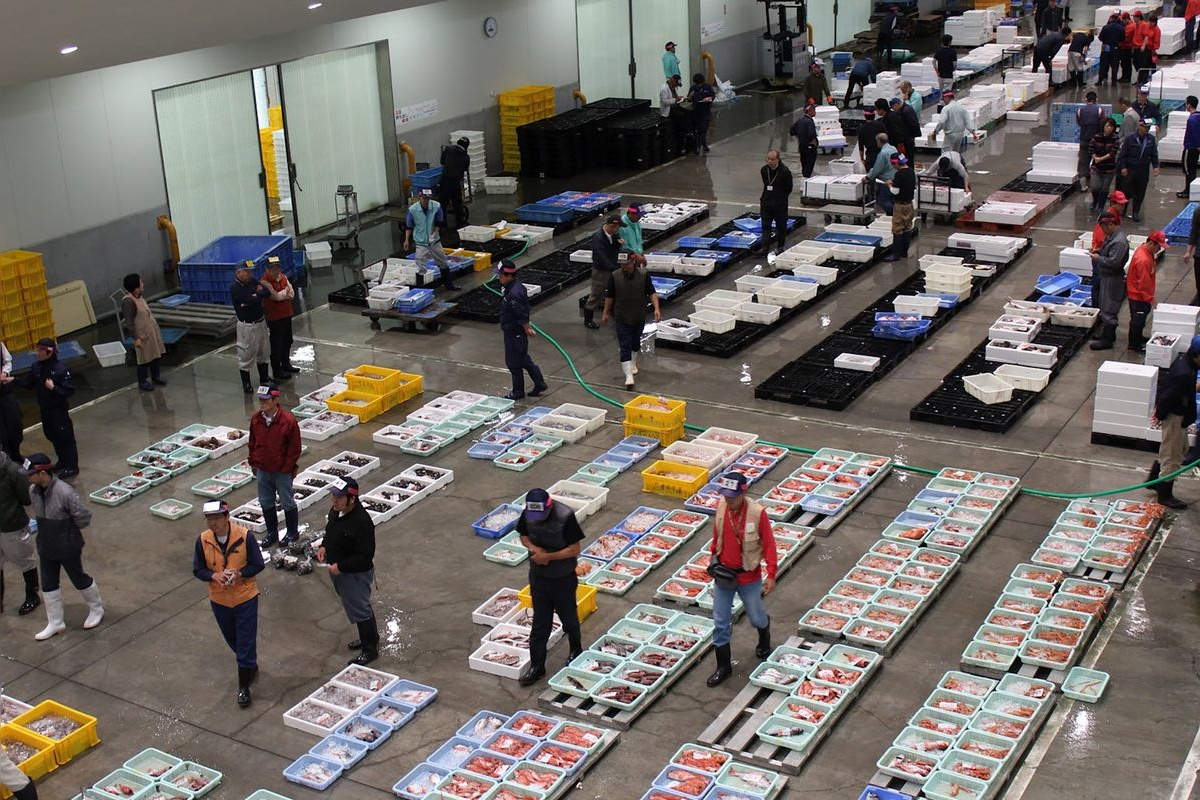 Numazu Fish Market INO