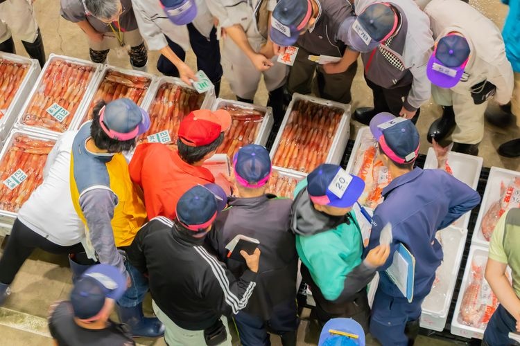 Numazu Fish Market INO