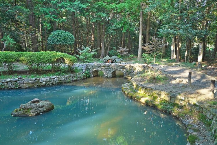 Oshima Hiko Jinja 3
