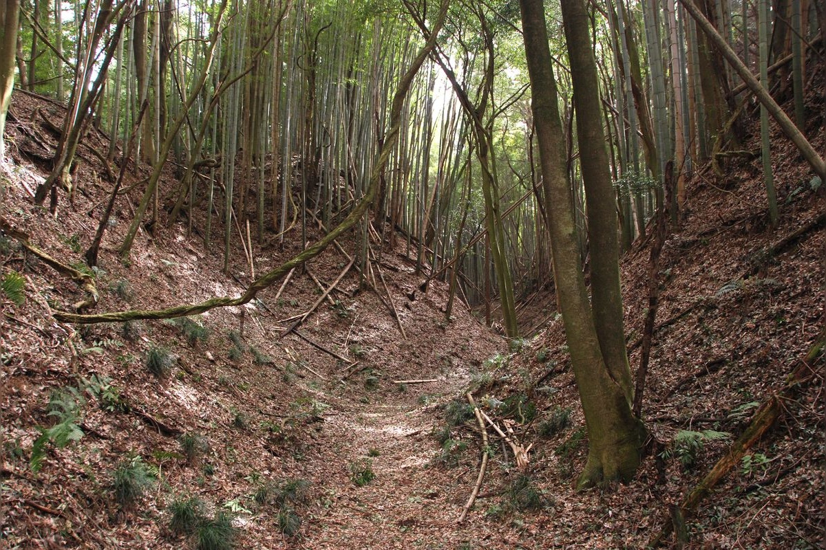 오바타 성터 (Obata Castle Ruins)