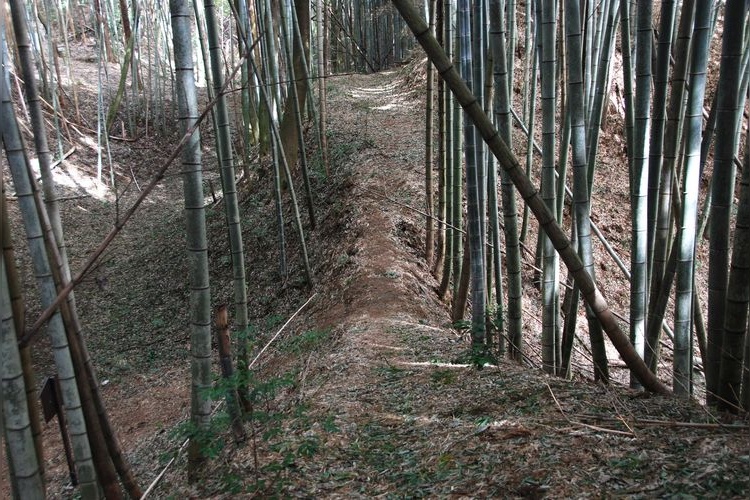오바타 성터 (Obata Castle Ruins)