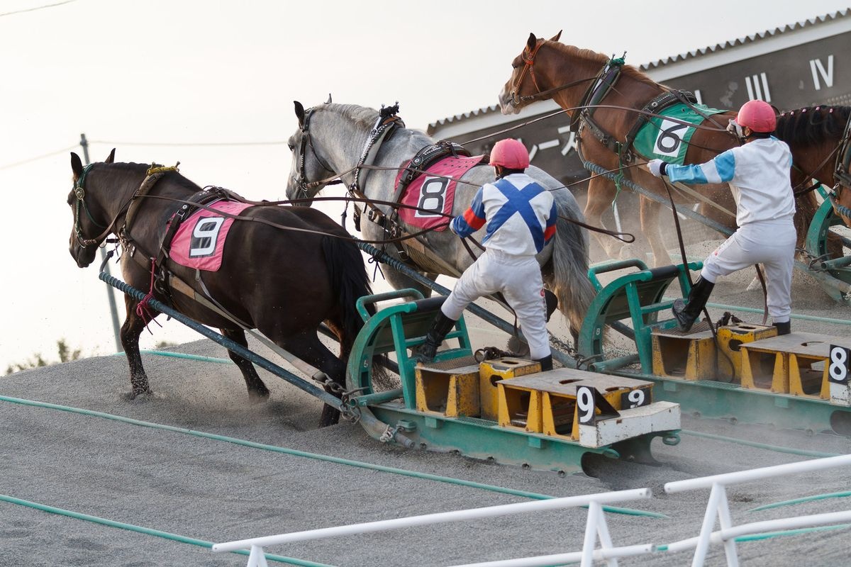 帯広競馬場(ばんえい十勝)