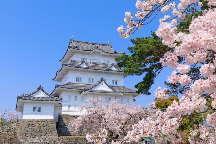 Odawara Castle 3
