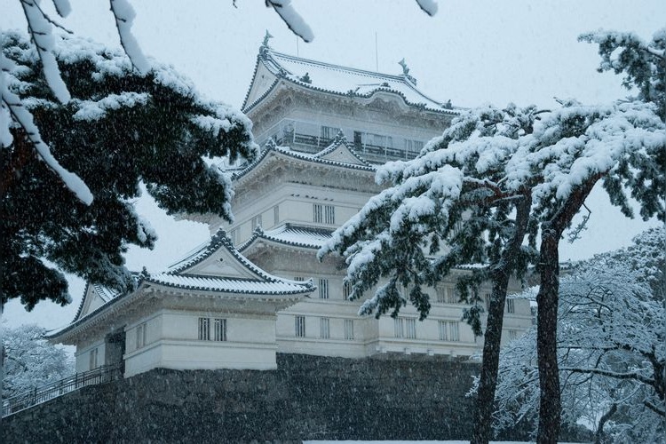 Odawara Castle 7