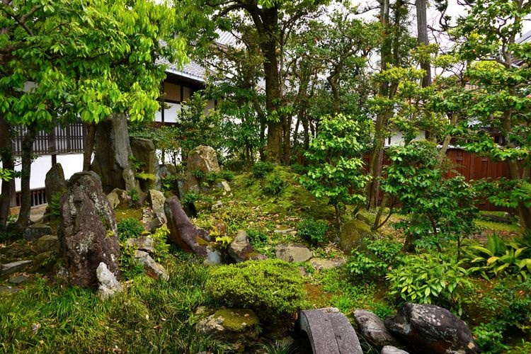 Dotoji Temple 3