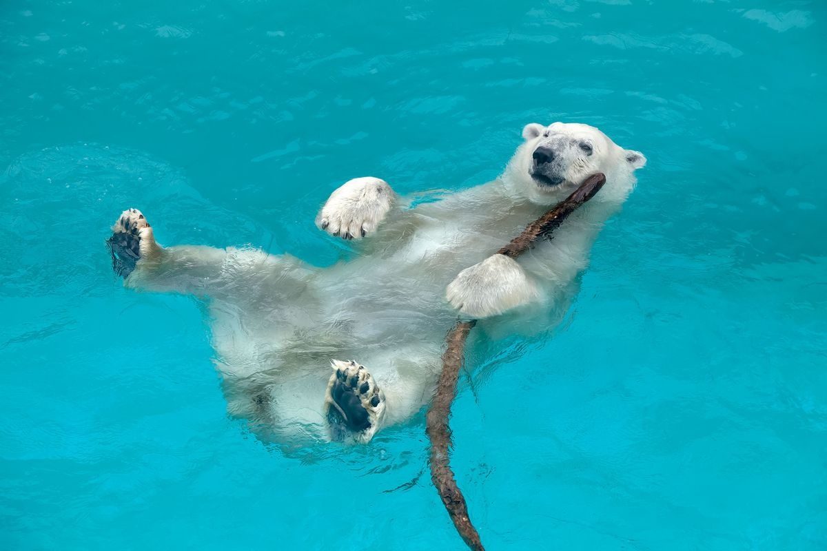 Oga Aquarium GAO
