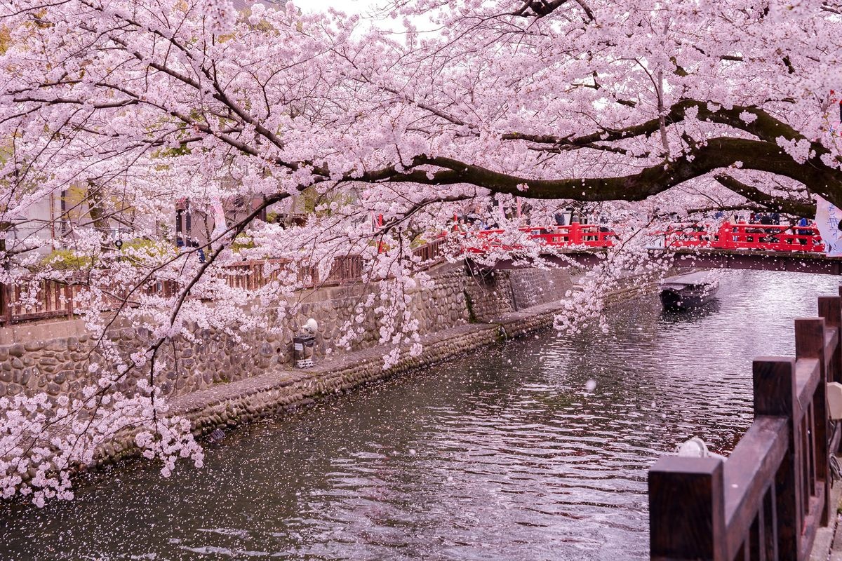 大垣船町川湊 (Ogaki Funamachi Kaminato)