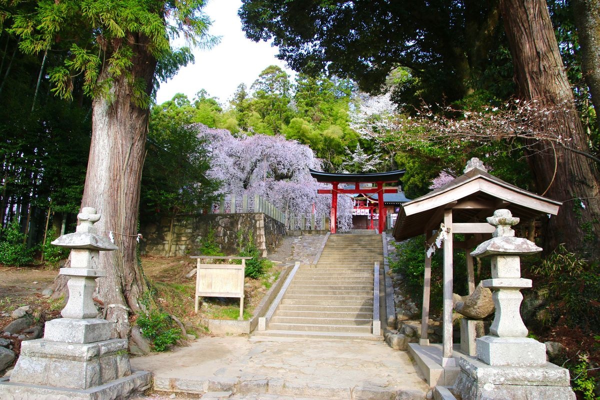 Ogawa Suwa Jinja