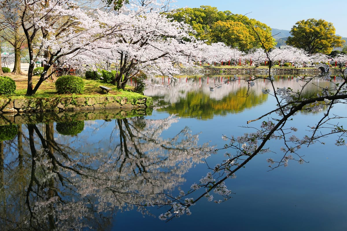 Ogi Park