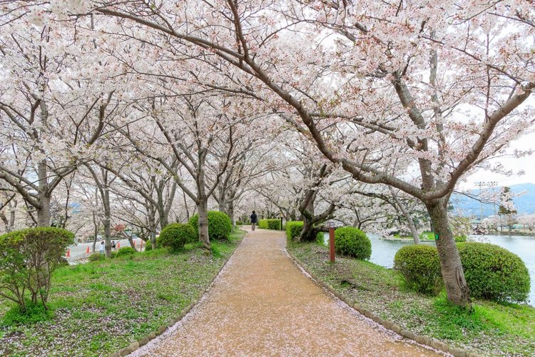 오기 공원 (Ogi Park)