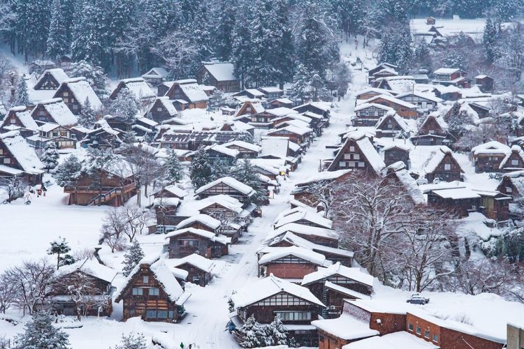 Ogimachi Castle Ruins Observatory (Shirakawa-go) 2