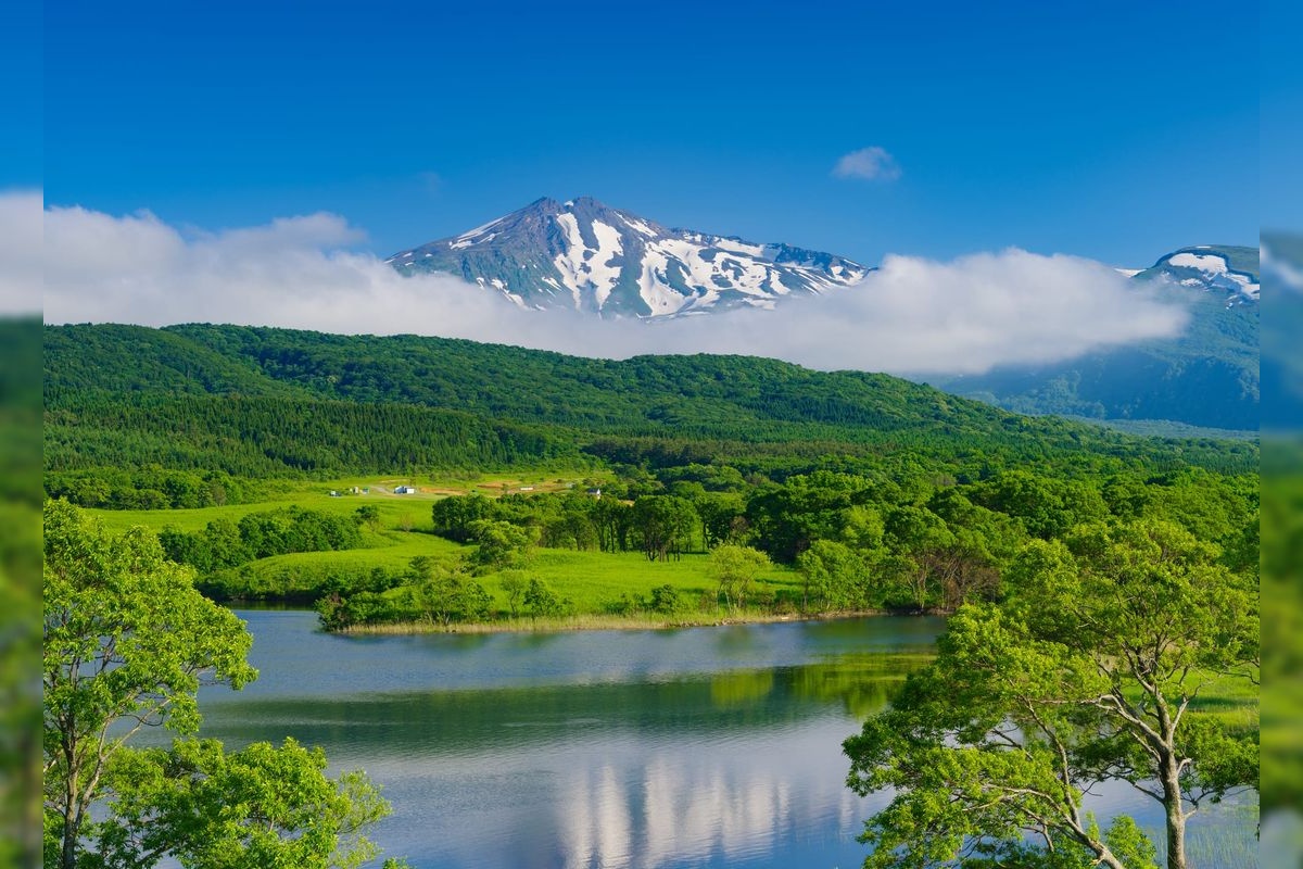 Ogiyatichitamike (Fuyushi Wetland)