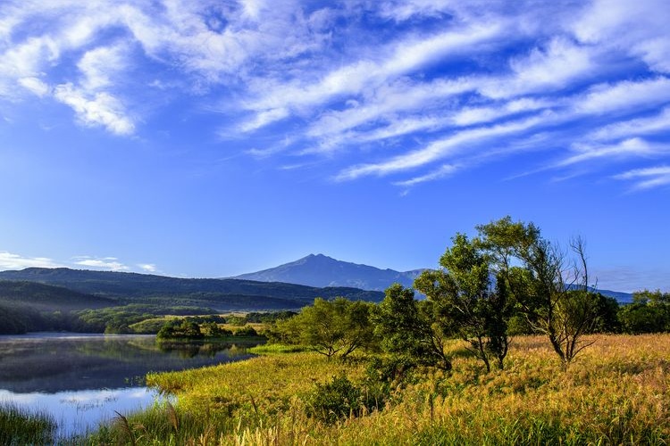 Ogiyatichitamike (Fuyushi Wetland) 3
