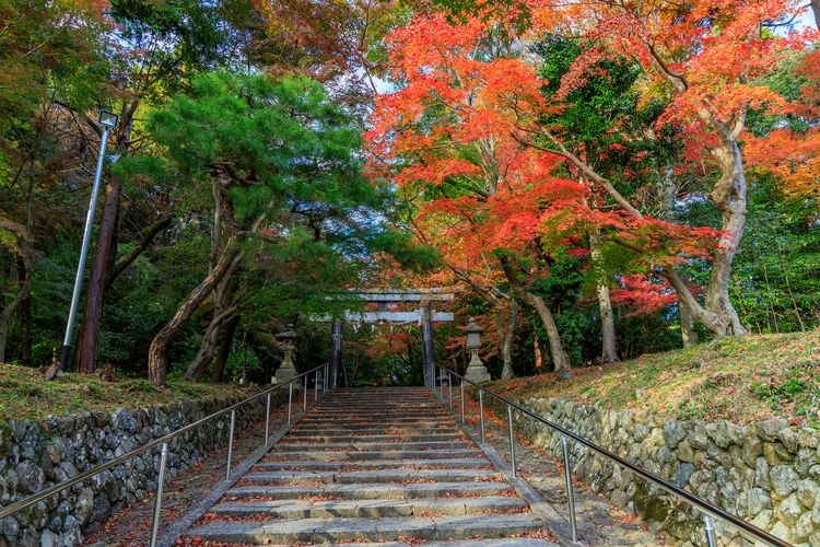 Oharano Jinja 4