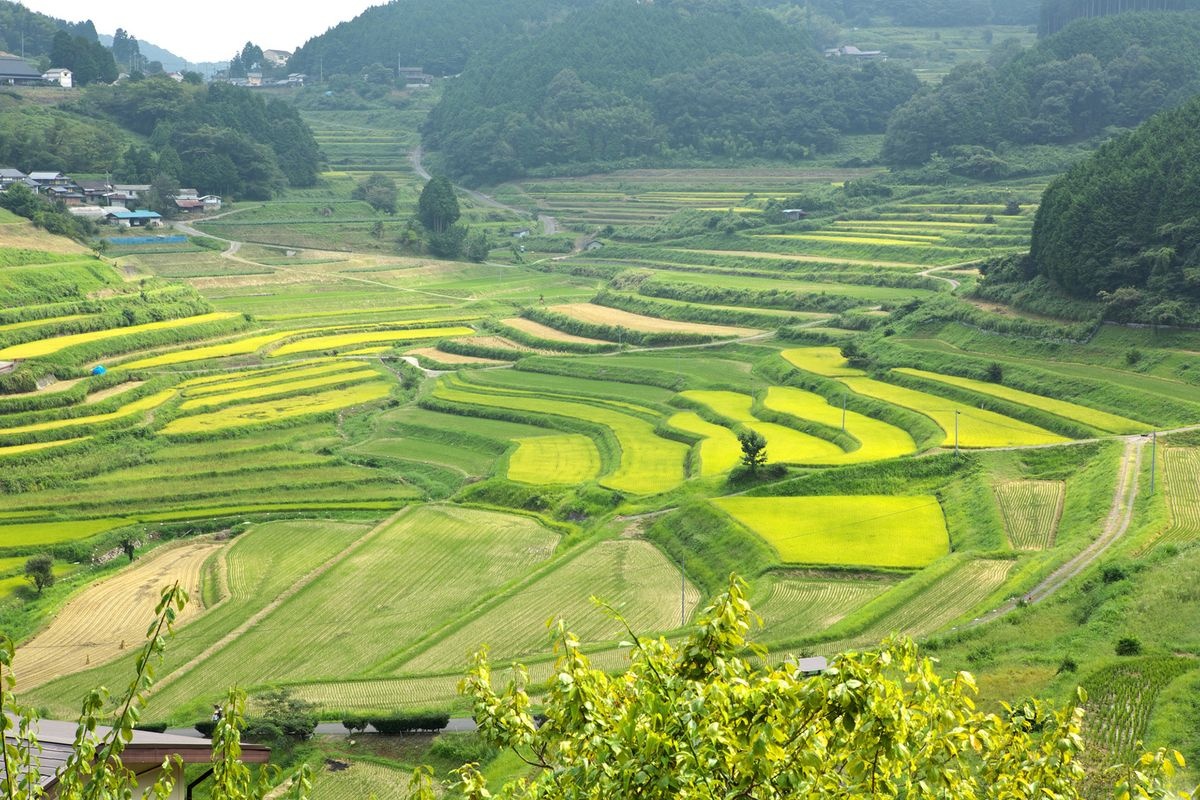 大垪和西棚田