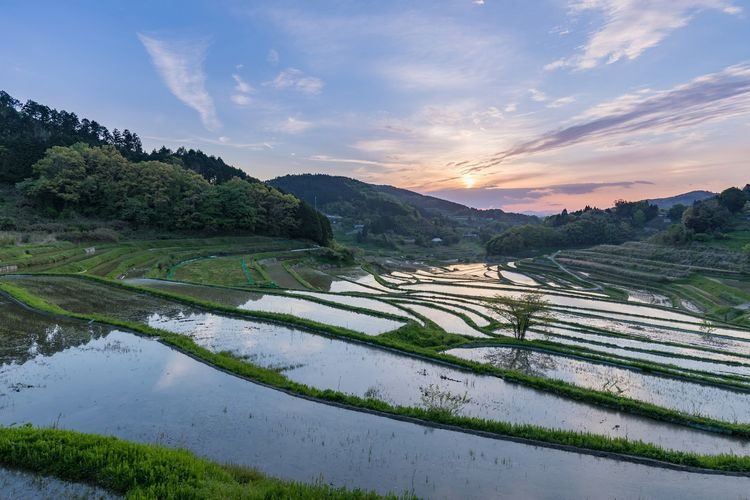Oawaranishi no Tanada (Rice Terraces)
