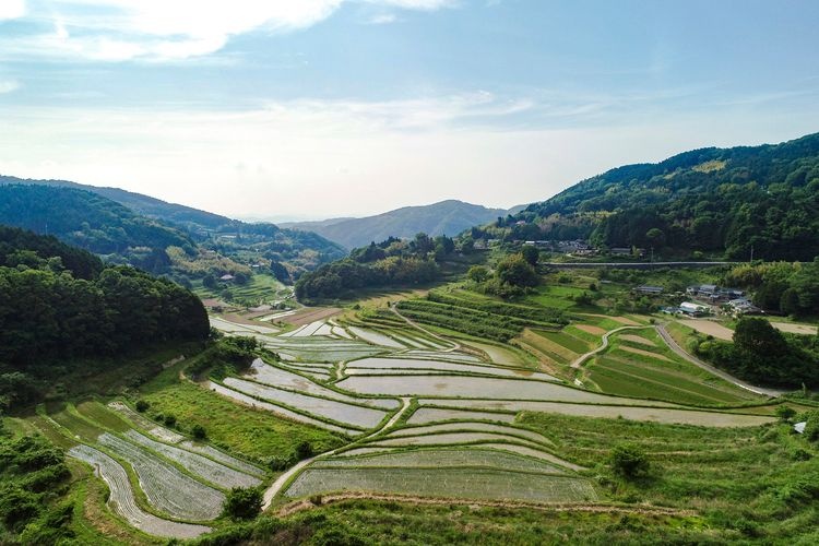 Oawaranishi no Tanada (Rice Terraces) 3