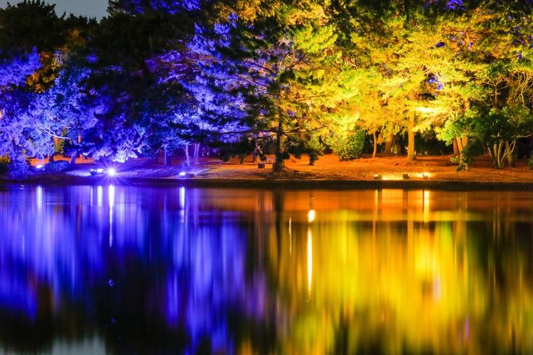 สวนโอโฮริ (Ohori Park)