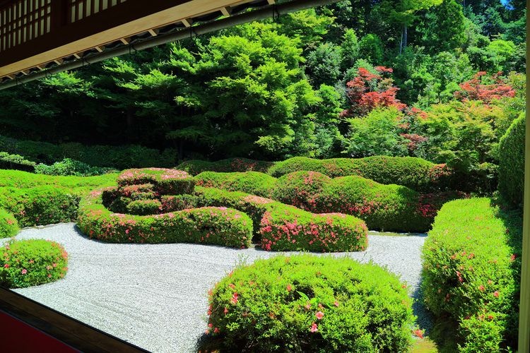 Oike-dera 2