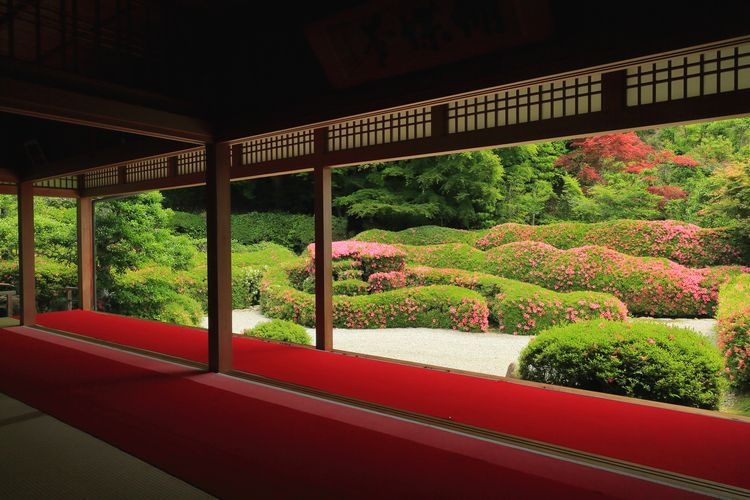 Oike-dera 4