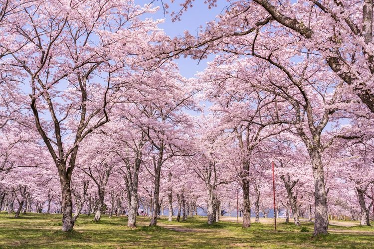 Oishi-dera