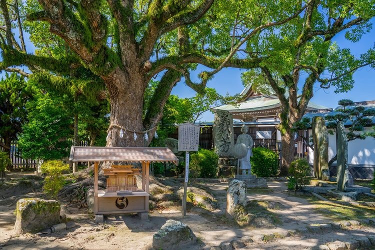 大石神社 (Oishi Jinja)