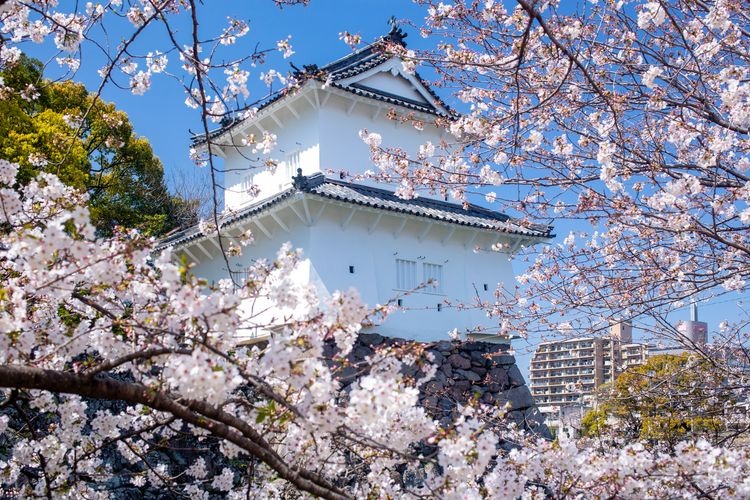 Oita Burgruinen Park (Funai-jo)
