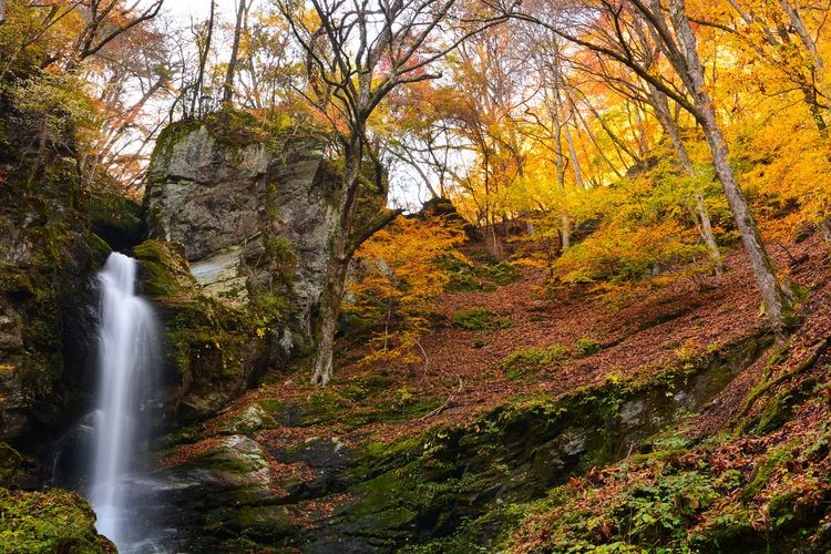 Ojosawa Fudo Falls