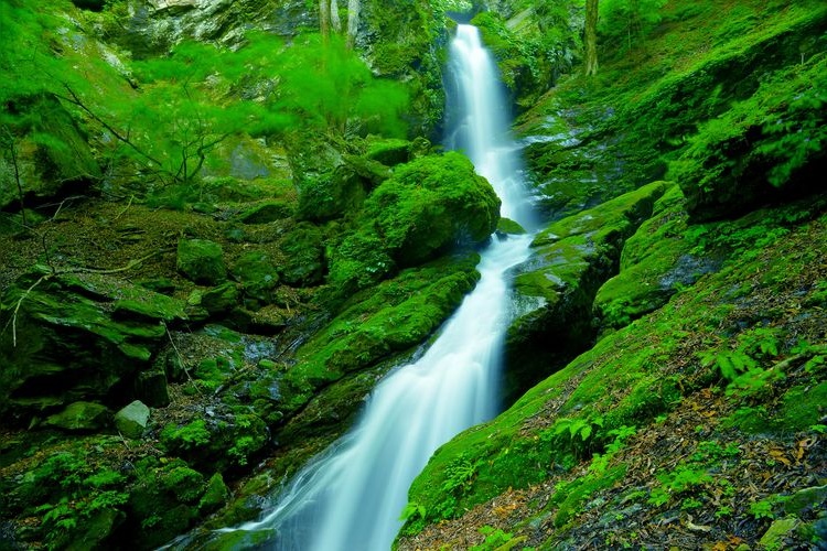 Ojosawa Fudo Falls 3