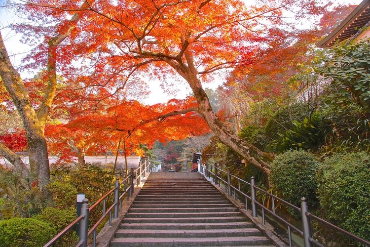 Oka-dera