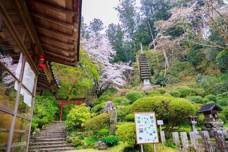 Oka-dera 4