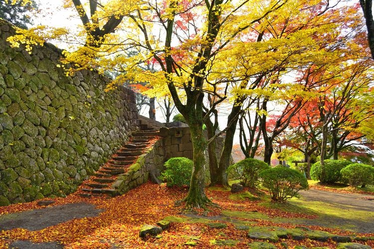 Ruinas del Castillo de Oka (Okajou)