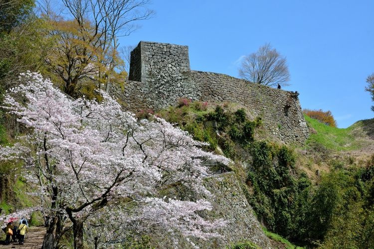 Ruinas del Castillo de Oka (Okajou) 3