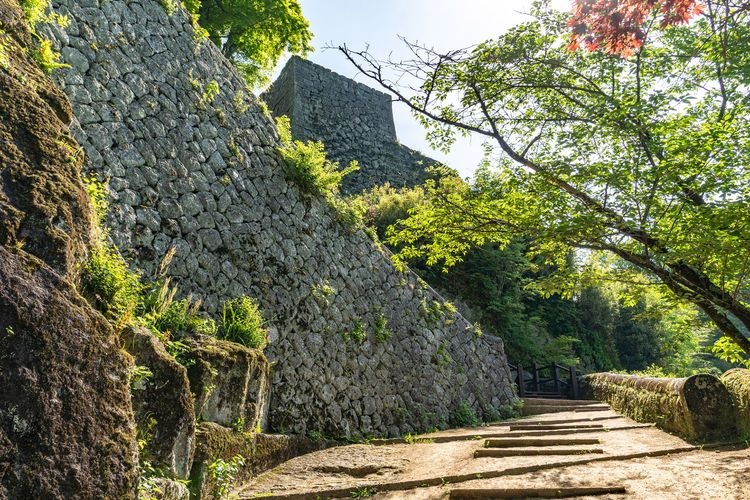 Ruinas del Castillo de Oka (Okajou) 4
