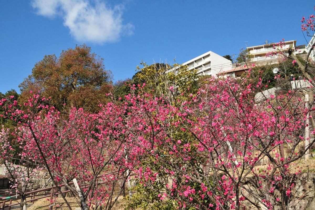 Okamoto Bairin Park