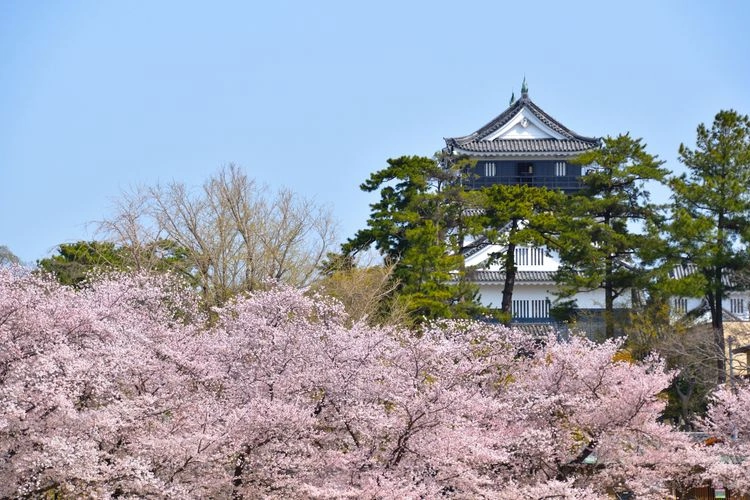 岡崎城 | Sparkle