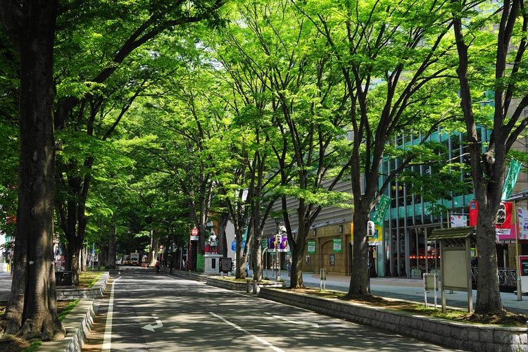 Okunitama Jinja