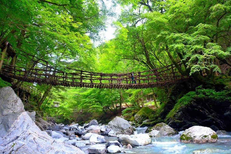 Puentes Colgantes de Doble Kazurabashi en Oku-Iya